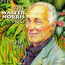 The Walter Norris Trio - Lush Life
