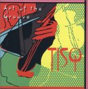 Turtle Island String Quartet - Art Of the Groove