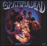 Grateful Dead - Built to Last