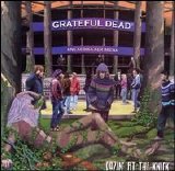 Grateful Dead - Dozin' At The Knick