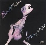 Midnight Oil - Bird Noises