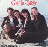 Circle Jerks - Wonderful