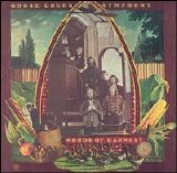 Goose Creek Symphony - Words of Earnest