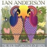 Ian Anderson - Secret Language of Birds