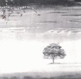 Genesis - Wind & Wuthering (X)