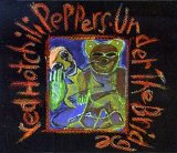 Red Hot Chili Peppers Collection - Under The Bridge