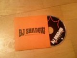 DJ Shadow - This Time (Im Gonna Try It My