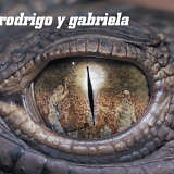 Rodrigo y Gabriela - Rodrigo y Gabriela (with Bonus DVD)