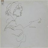 David Bromberg - David Bromberg