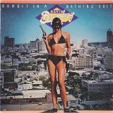 David Bromberg - Bandit In a Bathing Suit