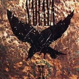 Saraya - When The Blackbird Sings