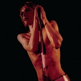 Stooges, The - Raw Power