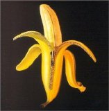 The Dandy Warhols - Welcome To The Monkey House