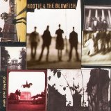 Hootie & the Blowfish - Cracked Rear View