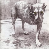 Alice in Chains - Alice in Chains