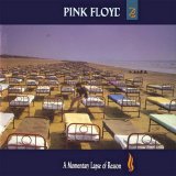 Pink Floyd - A Momentary Lapse Of Reason