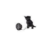 Kiss the Anus of a Black Cat - An Interlude to the Outermost