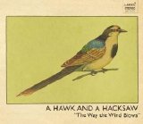 A Hawk and a Hacksaw - The Way the Wind Blows