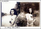 PJ Harvey - Is This Desire?