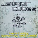 The Sugarcubes - Here Today, Tomorrow Next Week!