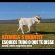 Azembla`s Quartet - Esquece tudo o que te disse