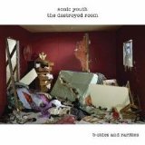 Sonic Youth - The Destroyed Room