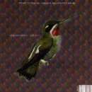 Semiacoustic Nature - Semiacoustic Nature