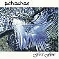 Pahoehoe - First Flow