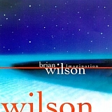 Brian Wilson - Imagination