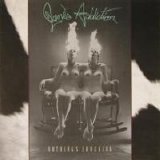 Jane's Addiction - Nothing's Shocking