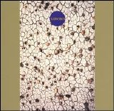 Derek Bailey & Ruins - Saisoro