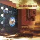 Salmonella Dub - Outside The Dubplates