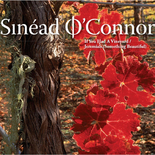 Sinead O'connor - If You Had A Vineyard