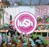 Lush - Lovelife