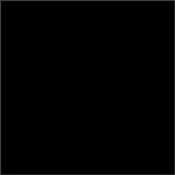 Prince - The Black Album