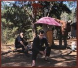 Boyd Rice and Friends - Wolf Pact
