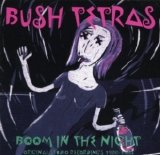 Bush Tetras - Boom in the Night