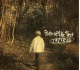 Porcupine Tree - Lazarus