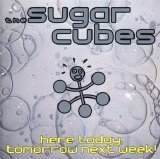 The Sugarcubes - Here Today, Tomorrow Next Week