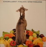 Shellac - Excellent Italian Greyhound