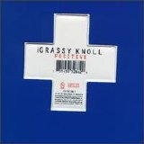 The Grassy Knoll - Positive