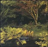 14 Iced Bears - Wonder