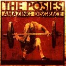 The Posies - Amazing Disgrace