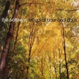 The Salteens - Let Go Of Your Bad Days