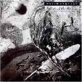 David Sylvian - Secrets Of The Beehive