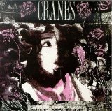 Cranes - Self-Non-Self