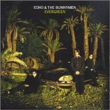 Echo & The Bunnymen - Evergreen