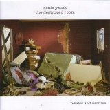 Sonic Youth - The Destroyed Room: B-Sides And Rarities