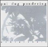 Poi Dog Pondering - Pomegranate