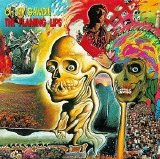 The Flaming Lips - Oh My Gawd...The Flaming Lips EMU